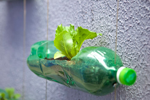 truhlík z pet láhve, recyklujeme, recy věci, recyklace PET,vertikální zahrádka, květinová stěna,