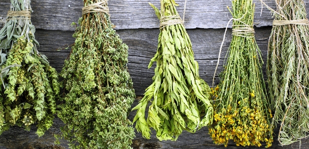bylinky, pěstování bylin, bylinkový čaj, jak sušit bylinky, kouzelné bylinky, herbář