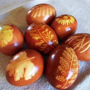 kraslice, barvení vajíček, j obarvit vejce, cibulová vajíčka, velikonoční vejce, velikonoční dekorace, barvení vajec, barevné vajíčka