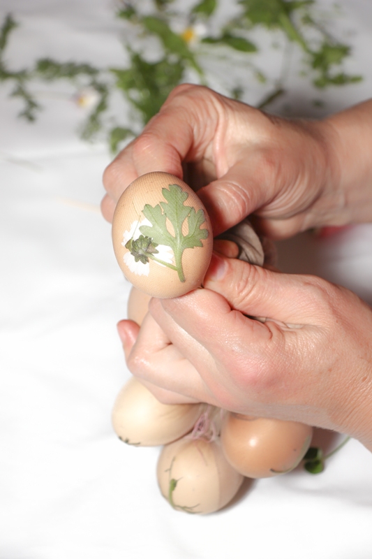 barvení vajíček, j obarvit vejce, cibulová vajíčka, velikonoční vejce, velikonoční dekorace, barvení vajec, barevné vajíčka