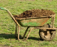 Jak hnojit? Organická hnojiva, kompost a hnůj - Říjen, díl první