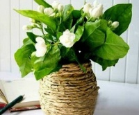 Papírová váza na jarní kvíti