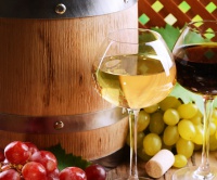 Vinné sudy, archivace vín a degustace vína