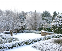 Zimní péče o okrasnou zahradu, zimní řez dřevin - Leden, díl druhý