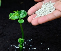 Hnojení, kompost, průmyslová hnojiva, příhnojování, výživa rostlin - Únor, díl první