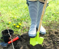 Přeroubování, roubování, kypření půdy, nastýlka, vyštipování květů, strupovitost, prostředky proti mšicím, mrazové desky - Duben, díl čtvrtý