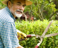 Pěstování okurek a melounů, zavlažování, fytoflora  - Červen, díl čtvrtý