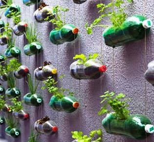 truhlík z pet láhve, recyklujeme, recy věci, recyklace PET,vertikální zahrádka, květinová stěna,