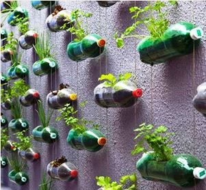 truhlík z pet láhve, recyklujeme, recy věci, recyklace PET,vertikální zahrádka, květinová stěna,