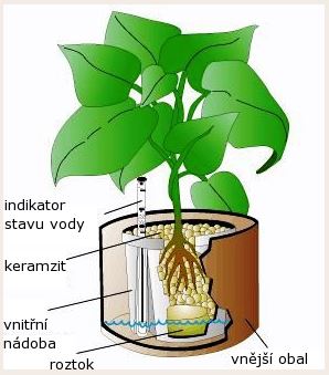 Návod jak vyrobit a pěstovat hydroponie