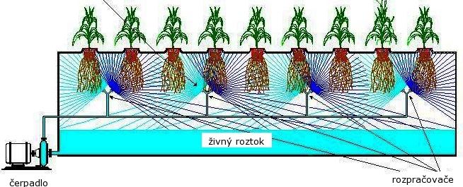 aeroponie, Návod jak vyrobit a pěstovat hydroponie