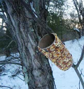 krmítko pro ptáky, jak vyrobiit krmítko, ptačí krmítka, návod na krmítko