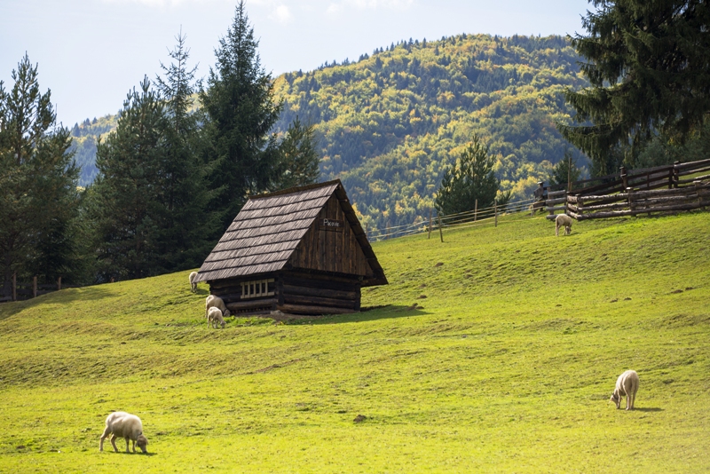 salašnictví, salaš, brynza, salašnické potřeby, salašnické nádoby, nádoby ze dřeva, dřevěné nádobí