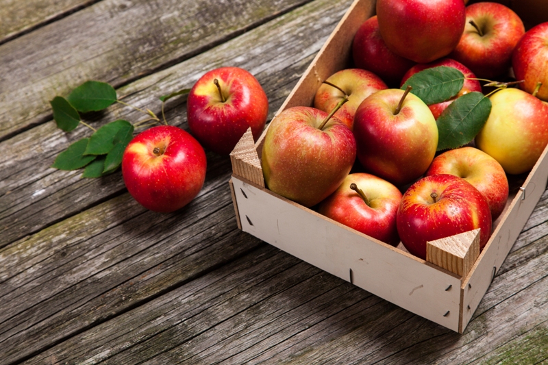 jablka, skladováni ovoce, sklizňová zralost 