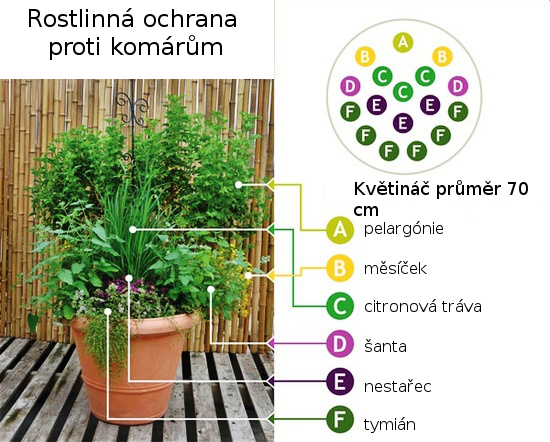 ochrana proti komárum, přírodní repelent, bio, eko, jak na komáry, 