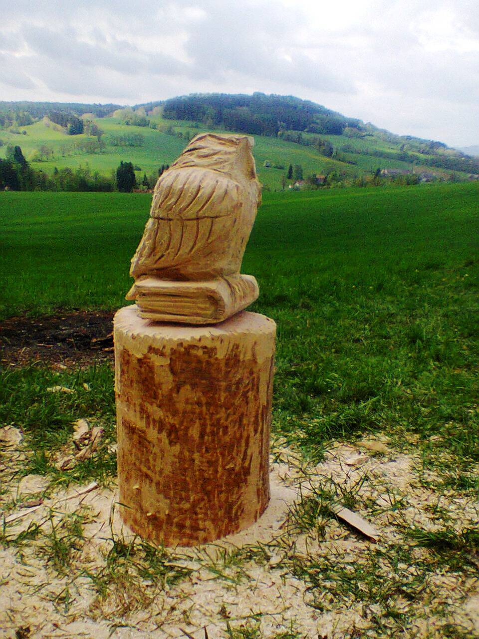 sova, řezbář, dřevořezba, socha morotová pila, zlaté české ruce, dřevosochání